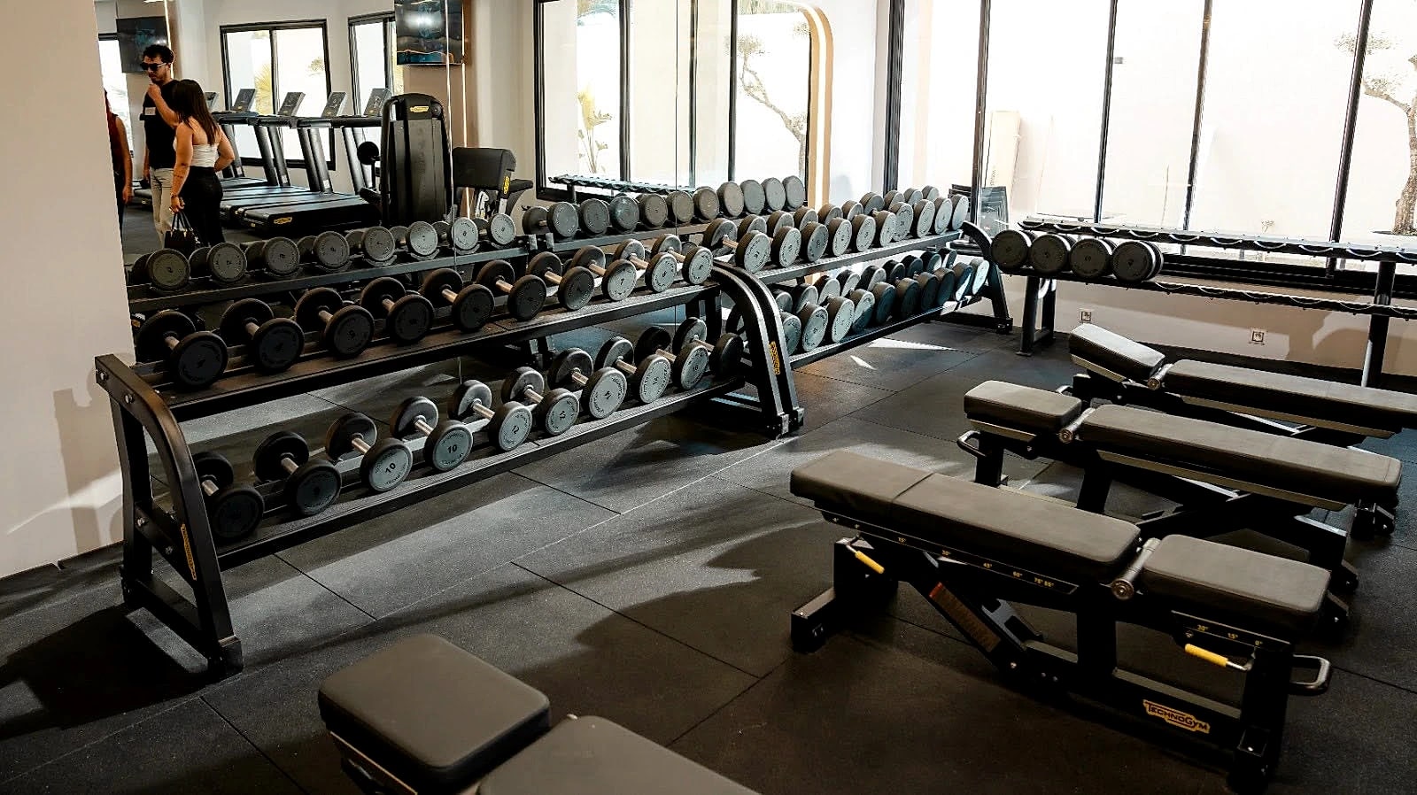 A long dumbbell rack and flat benches set along the windows of the training floor.