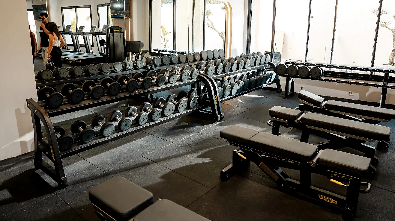 A long dumbbell rack and flat benches set along the windows of the training floor.